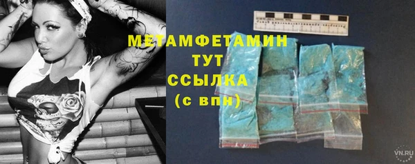 гидра Богданович