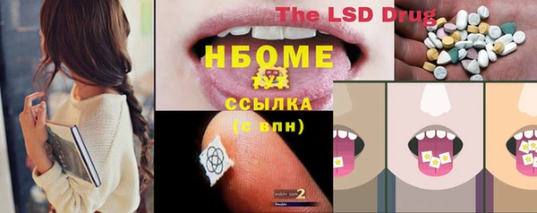 гидра Богданович