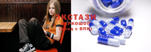 гидра Богданович