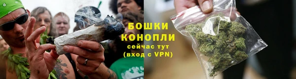 гидра Богданович