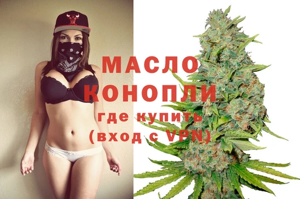 гидра Богданович