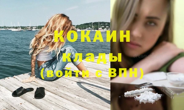 гидра Богданович