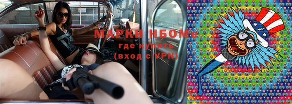 гидра Богданович