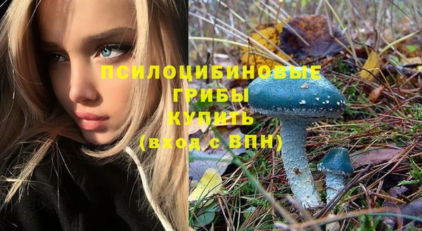 трава Богородицк