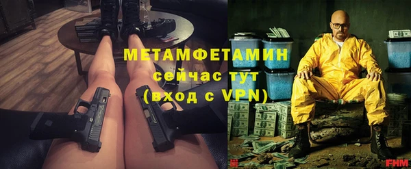 гидра Богданович