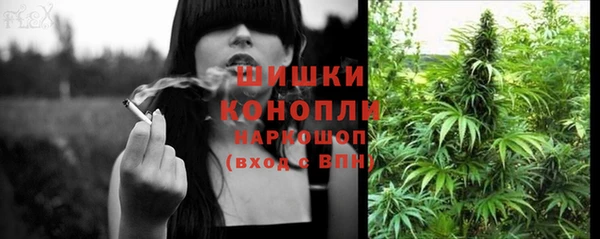 гидра Богданович