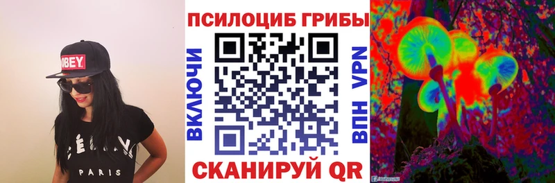 блэк спрут рабочий сайт Верхний Тагил Псилоцибиновые грибы Cubensis цены